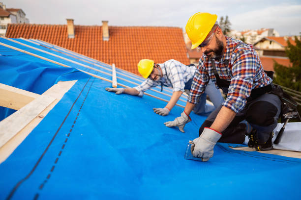 Emergency Roof Repair in Frenchtown, MT
