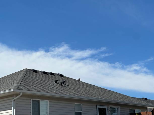 Best Roofing for New Construction  in Frenchtown, MT